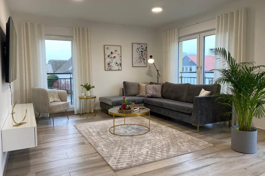 Estudio extragrande con cocina y sofá cama
