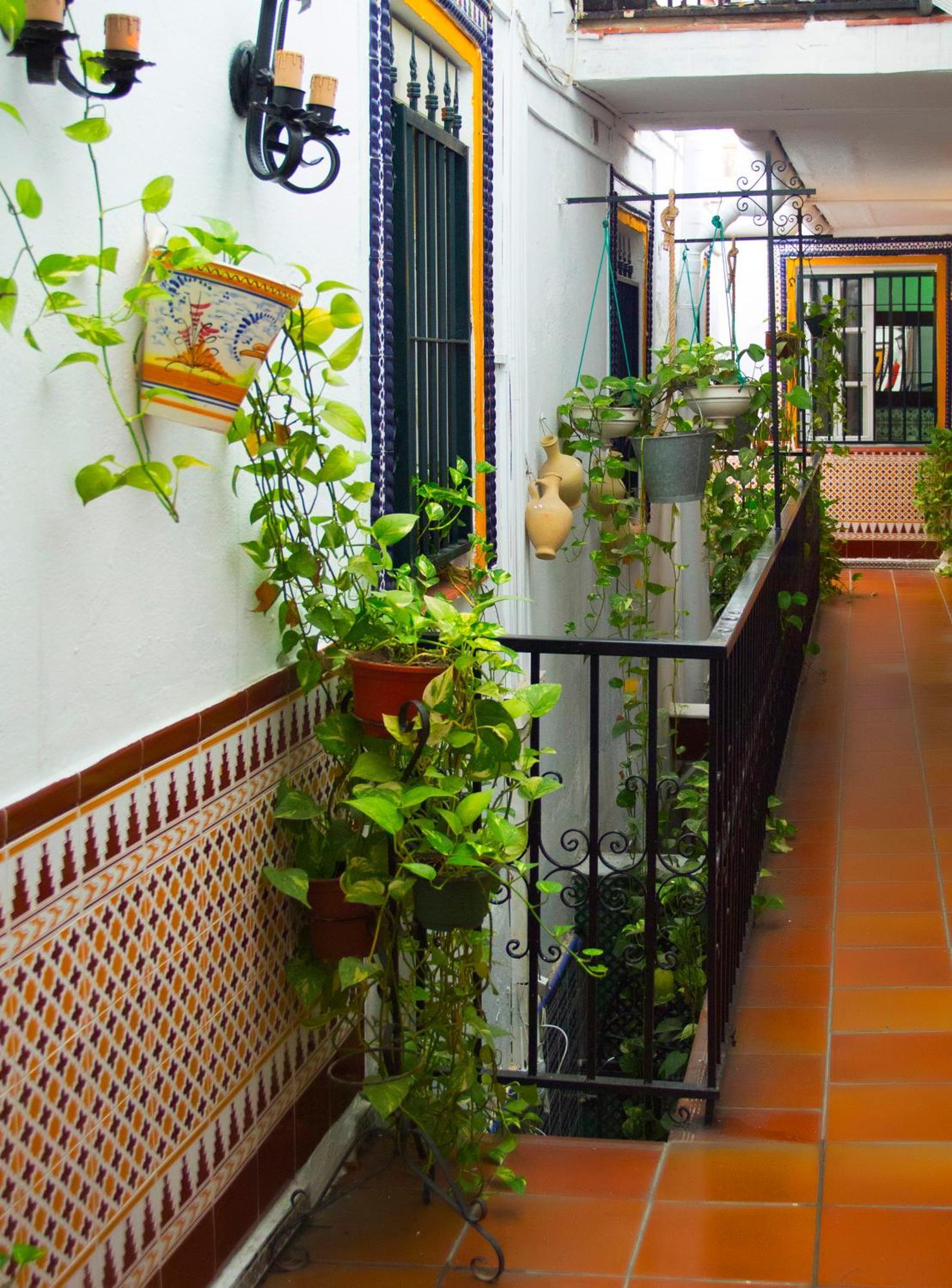 Habitación Individual con baño privado