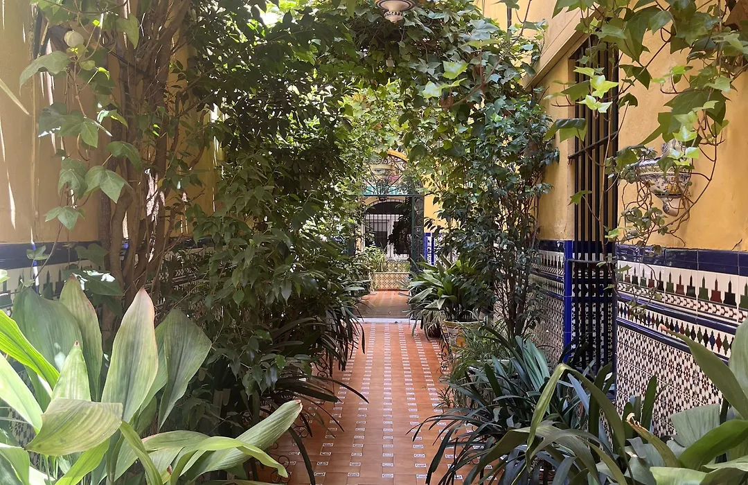 Hostal Atenas-1