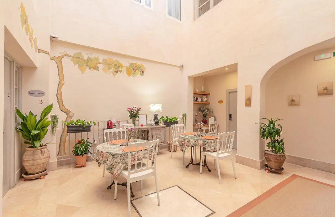 Santacruz Hostal Plaza-1