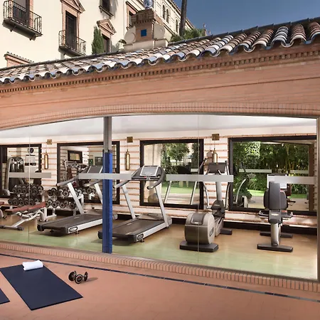 Hotel Alfonso Xiii, A Luxury Collection Hotel, Seville-3