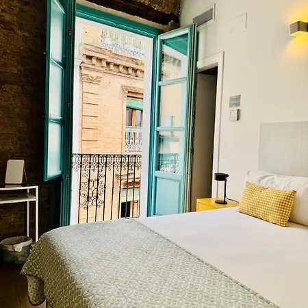 Alegoría Coliving Experience-2